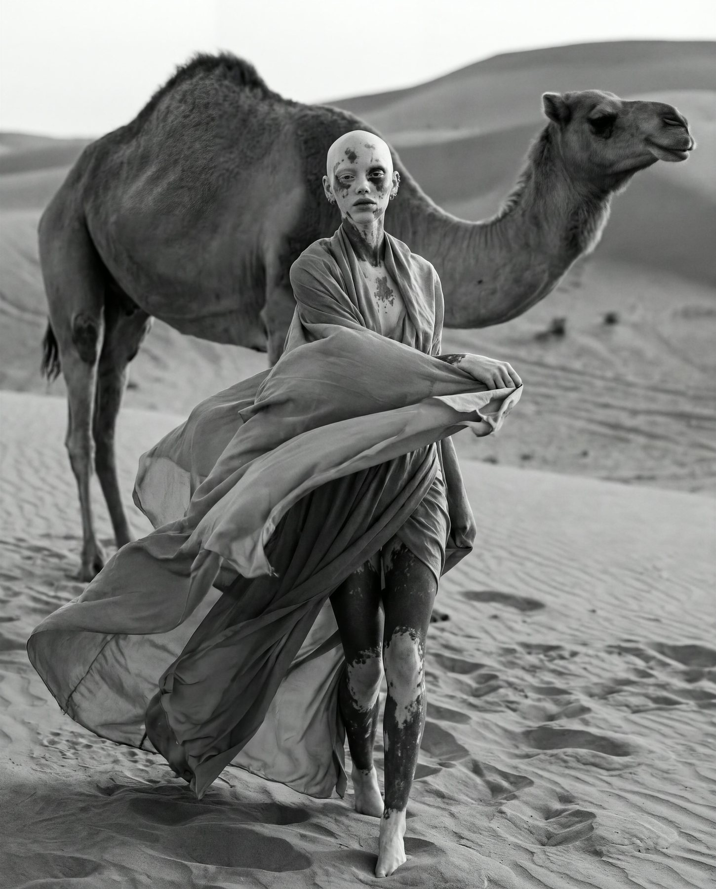 Desert Veil — 4